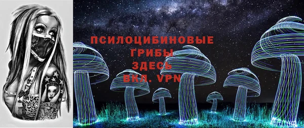 spice Белокуриха