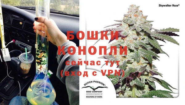spice Белокуриха