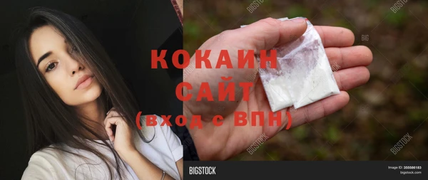 стаф Беломорск