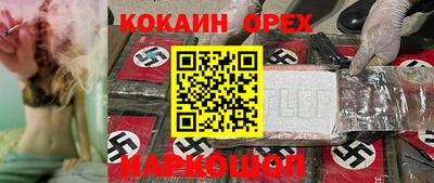 стаф Дубна
