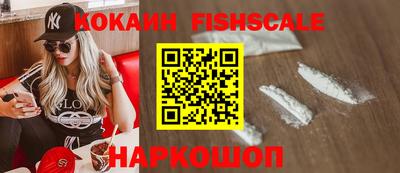 стаф Дубна