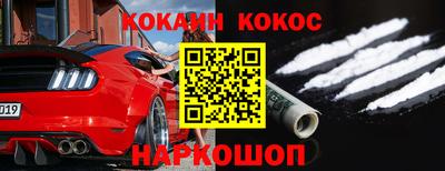 стаф Дубна