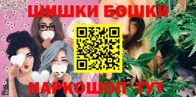 стаф Дубна