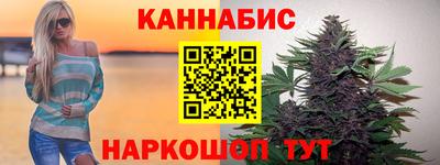 стаф Дубна