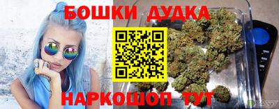 стаф Дубна