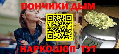 стаф Дубна