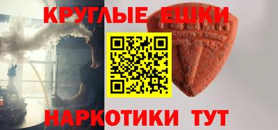 стаф Дубна