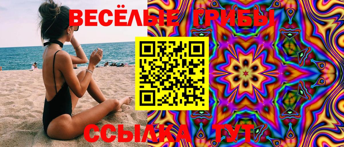 Звенигород  Галлюциногенные грибы Psilocybe  Вход с VPN 